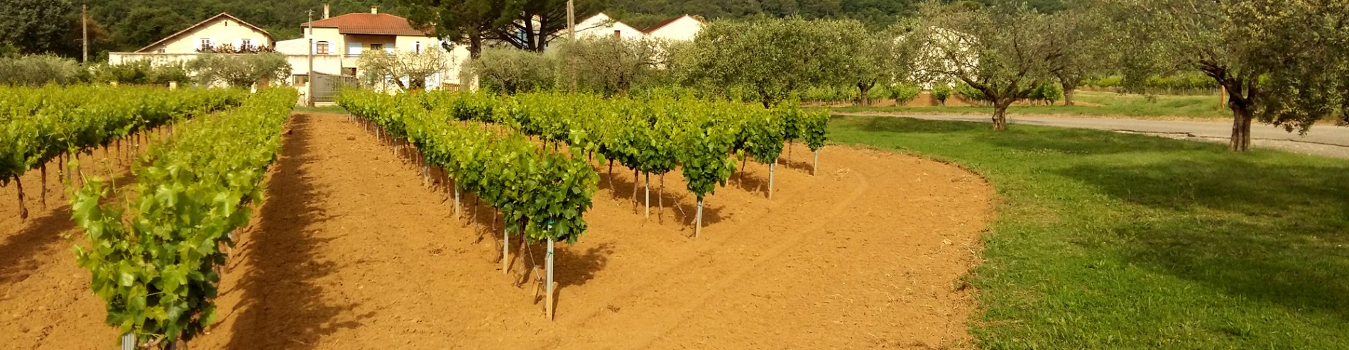 Domaine De Laplagnol vins Côtes du rhône dans le Gard (30)